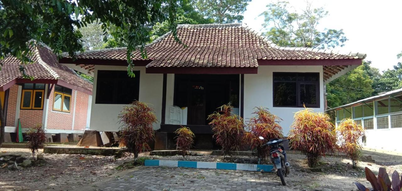 Bed and Breakfast Sukamade Adventure Tour Package Banyuwangi  Zewnętrze zdjęcie